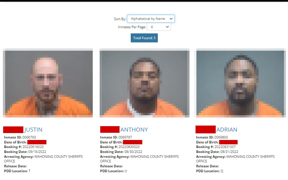 A screenshot showing the result of an inmate search in the Mahoning County Sheriff's Office page displays the list of inmates with their mugshots, full name, inmate ID, birth date, booking number, booking date, arresting agency and location.