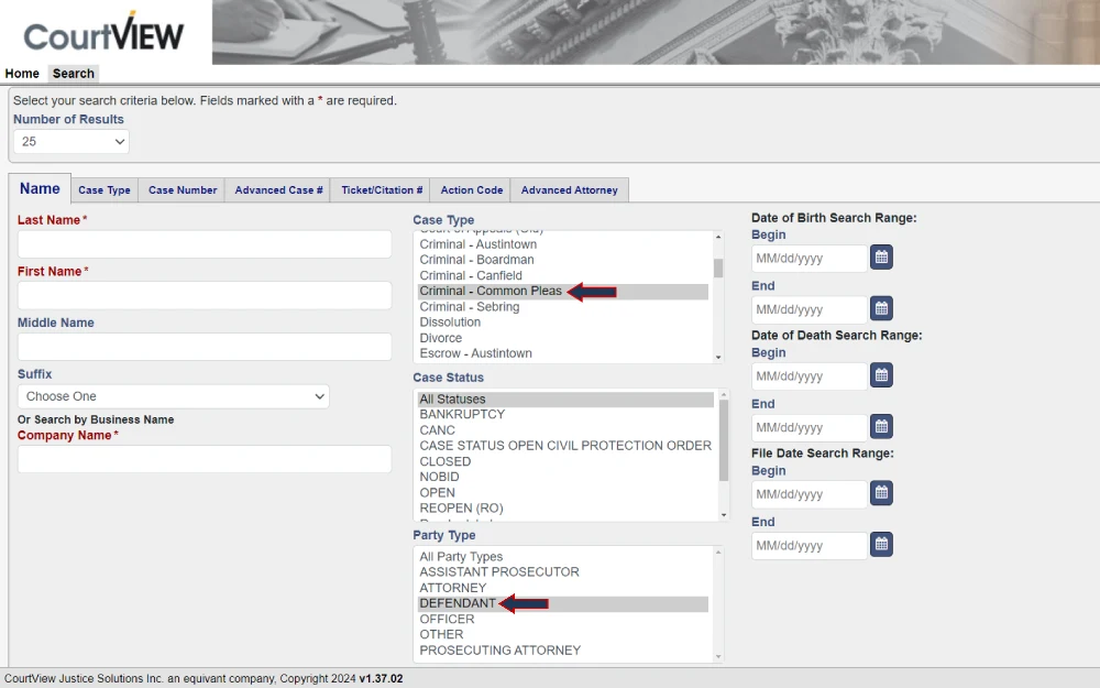 A screenshot of the CourtVIEW online legal search portal interface with fields for entering personal or business names and options to filter by case type, case status, and date ranges, designed to assist in locating public court records within a legal jurisdiction.